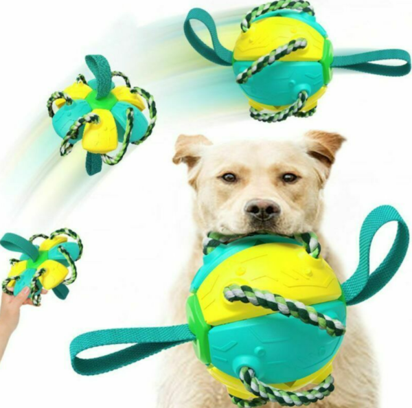 Dog Chew Flying Rebound Training Ball