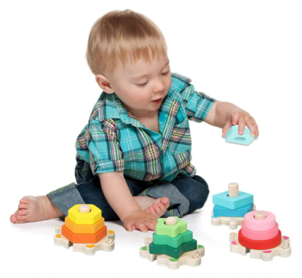 Turtle Shape Sorter Toy - Image 5