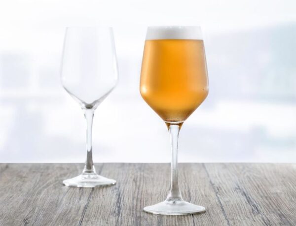 Larger Wine Glasses (Clear)(6 pcs) - Image 3