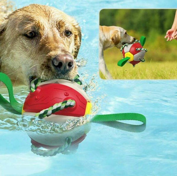 Dog Chew Flying Rebound Training Ball - Image 4