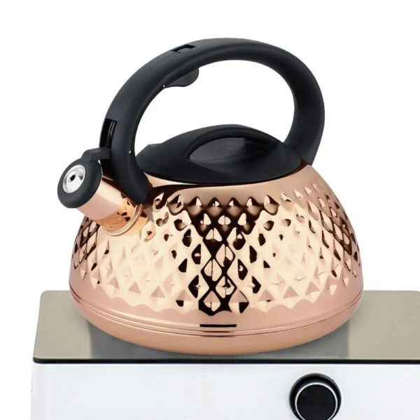 Stainless Steel Stove Top Whistling Kettle (Golden) - Image 3