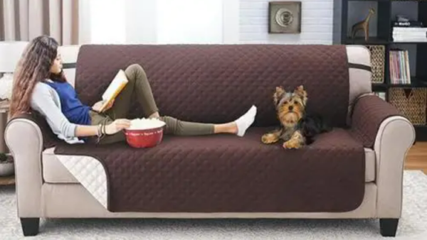 Protective Couch Cover (3 Seater) - Image 3