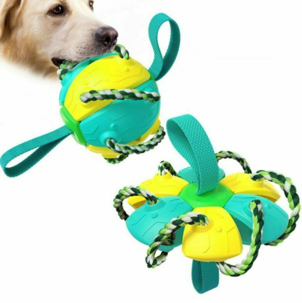 Dog Chew Flying Rebound Training Ball - Image 3