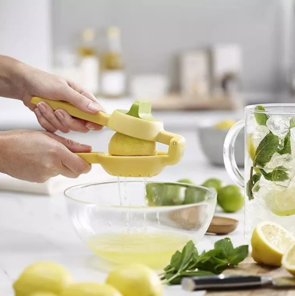 Dual Action Citrus Press - Image 4