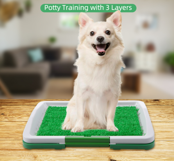 Puppy Potty Training Pad - Image 4