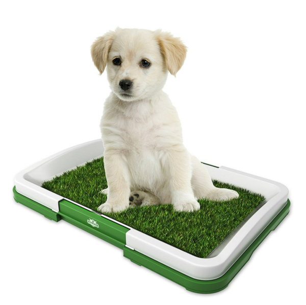 Puppy Potty Training Pad