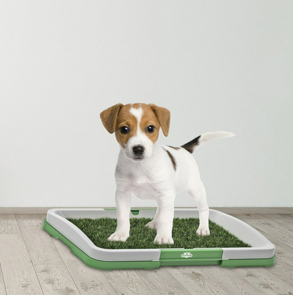 Puppy Potty Training Pad - Image 3