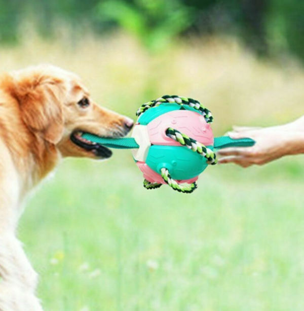 Dog Chew Flying Rebound Training Ball - Image 5