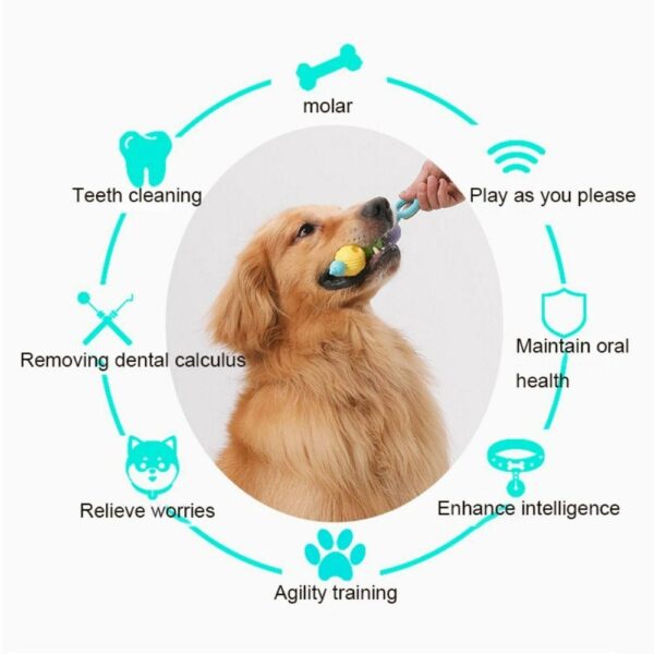 Interactive Dog Tooth Cleaning Massager Stick Toy - Image 3