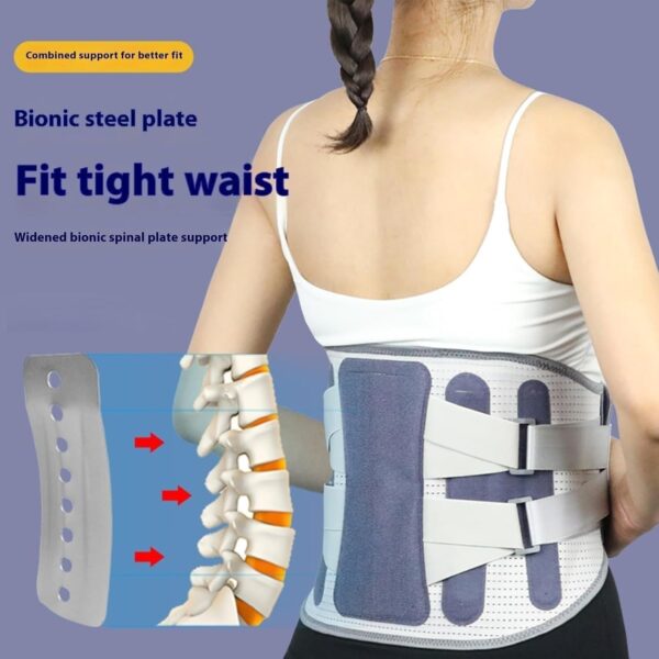 Core Back Brace - Image 4