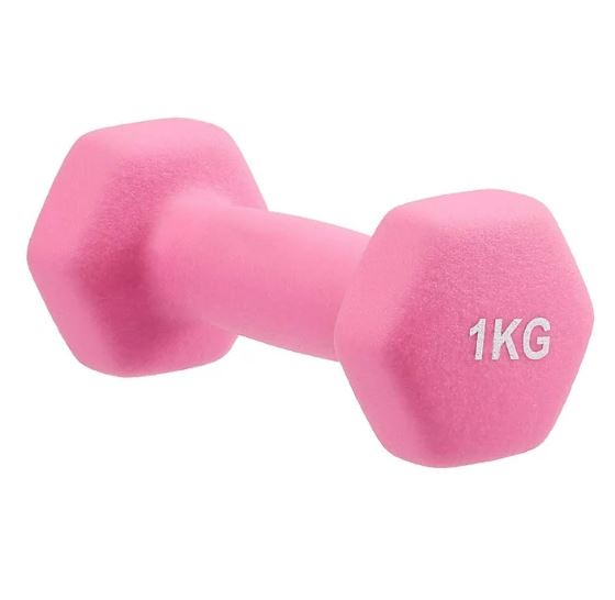 Dumbbell For Ladies (1kg)(Each)