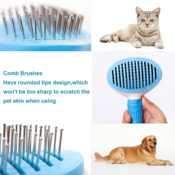 Pet Cleaning And Grooming Beauty Brush - Image 3