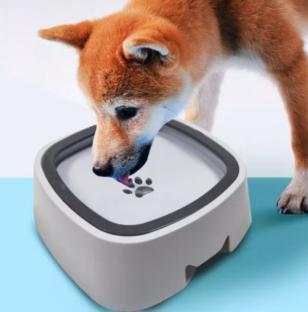 Splash Free Pet Water Bowl - Image 4